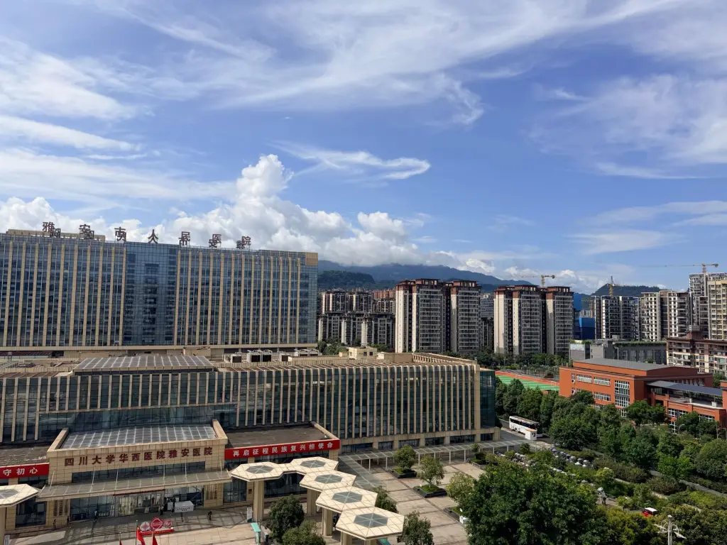 软件定制开发与系统维护的五大核心服务优势解析